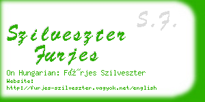 szilveszter furjes business card